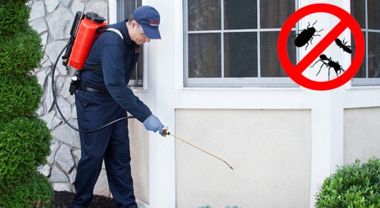 Köprübaşı Tahtakurusu İlaçlama böcek ilaçlama ve haşere kontrolü — ilaclama-tr.com